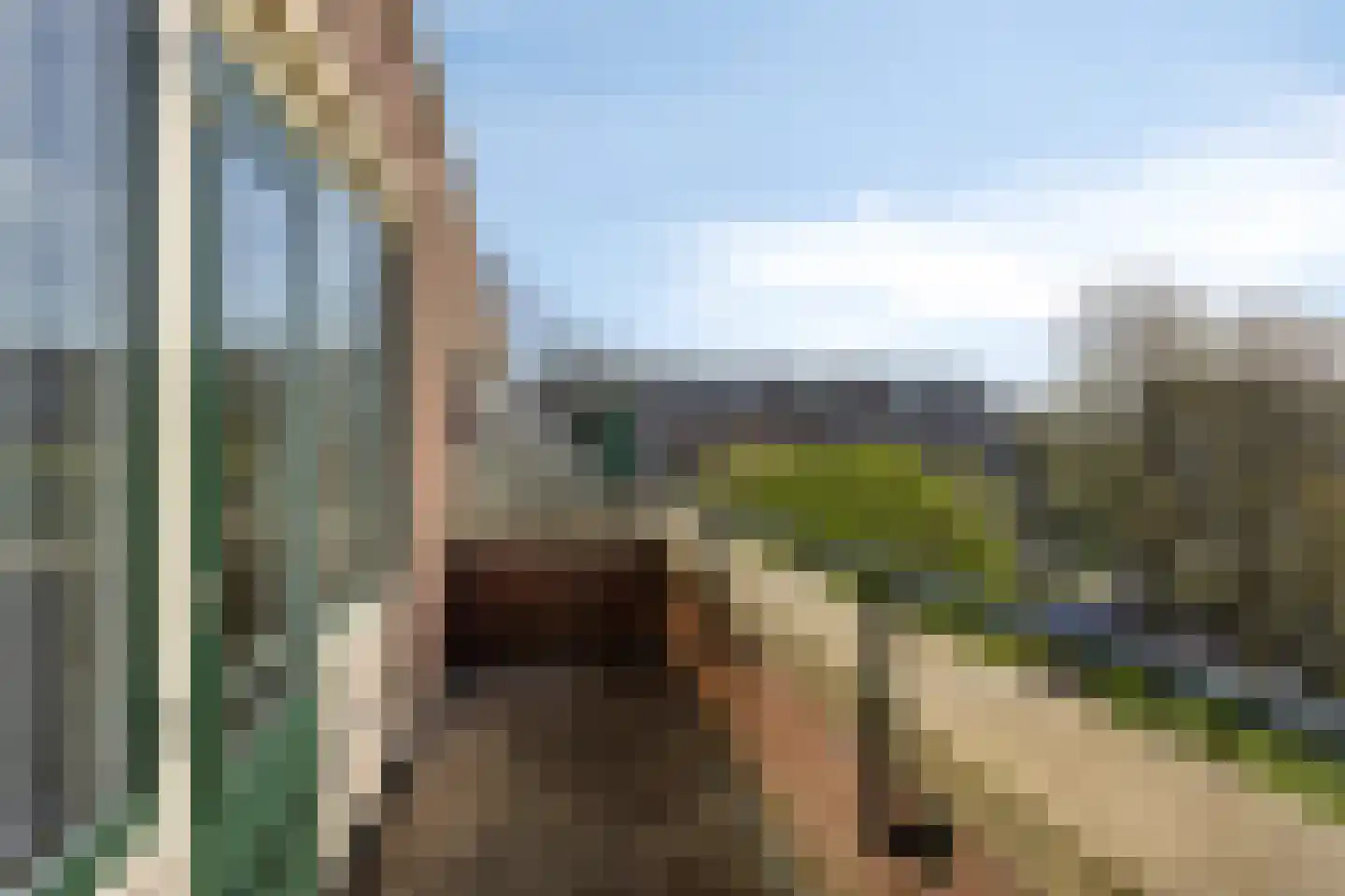Lokhorst 151 Leiderdorp thumbnail 22