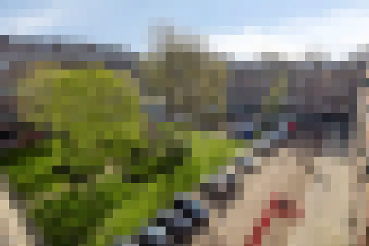 Lokhorst 151 Leiderdorp thumbnail 23