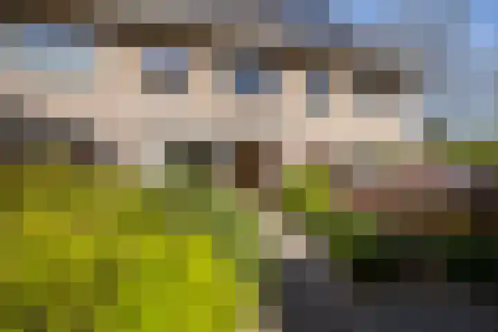 Lokhorst 26 Rotterdam thumbnail 10