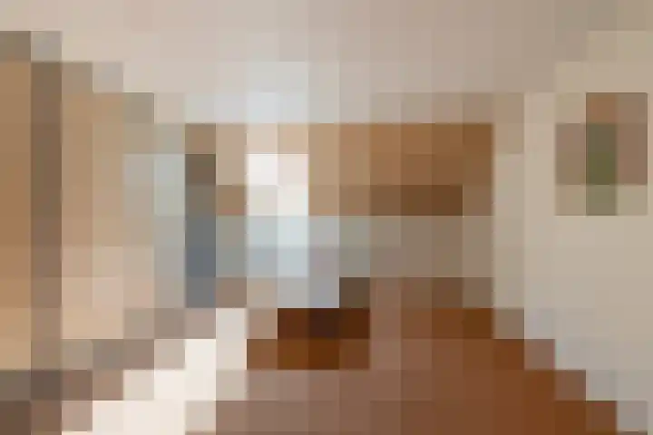 Lokhorst 26 Rotterdam thumbnail 23