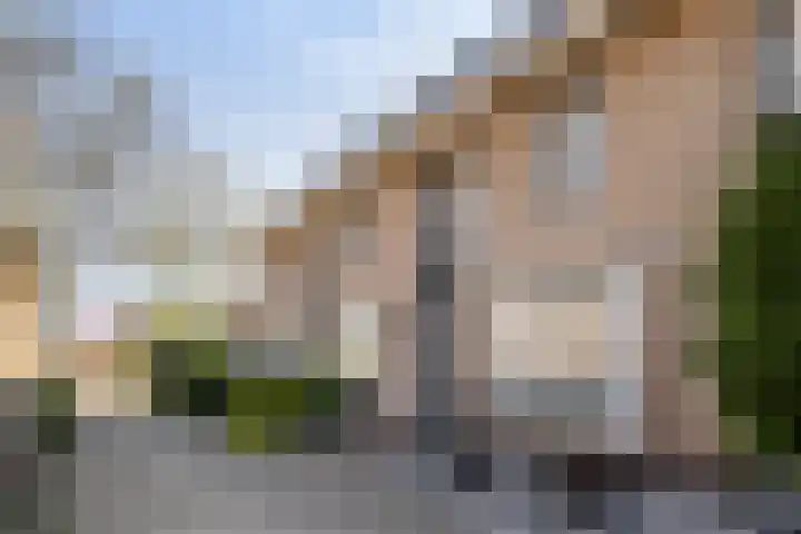 Lokhorst 26 Rotterdam thumbnail 27