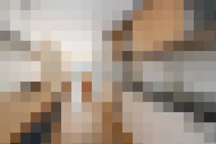 Lokhorst 26 Rotterdam thumbnail 6