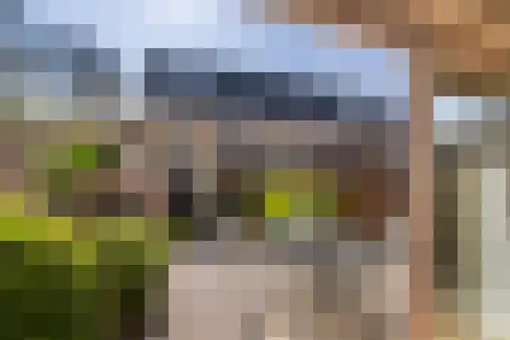 Lokhorst 26 Rotterdam thumbnail 8