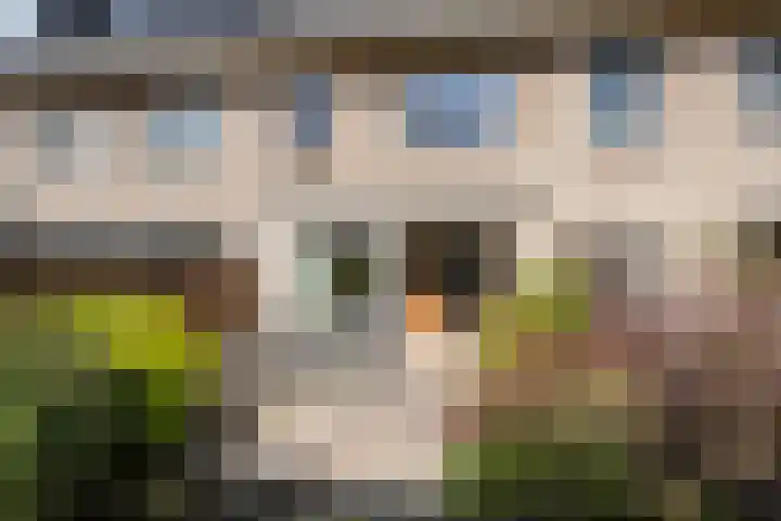 Lokhorst 26 Rotterdam thumbnail 9