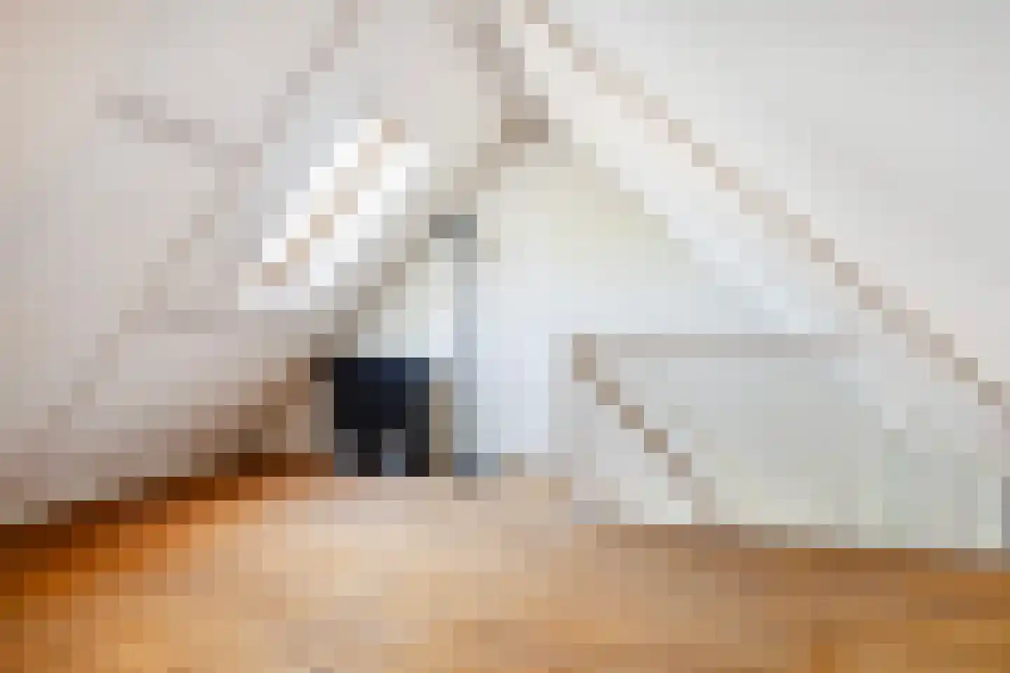 Lokhorst 32 Rotterdam thumbnail 36