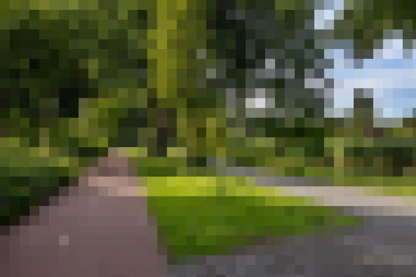 Lokhorst 32 Rotterdam thumbnail 46