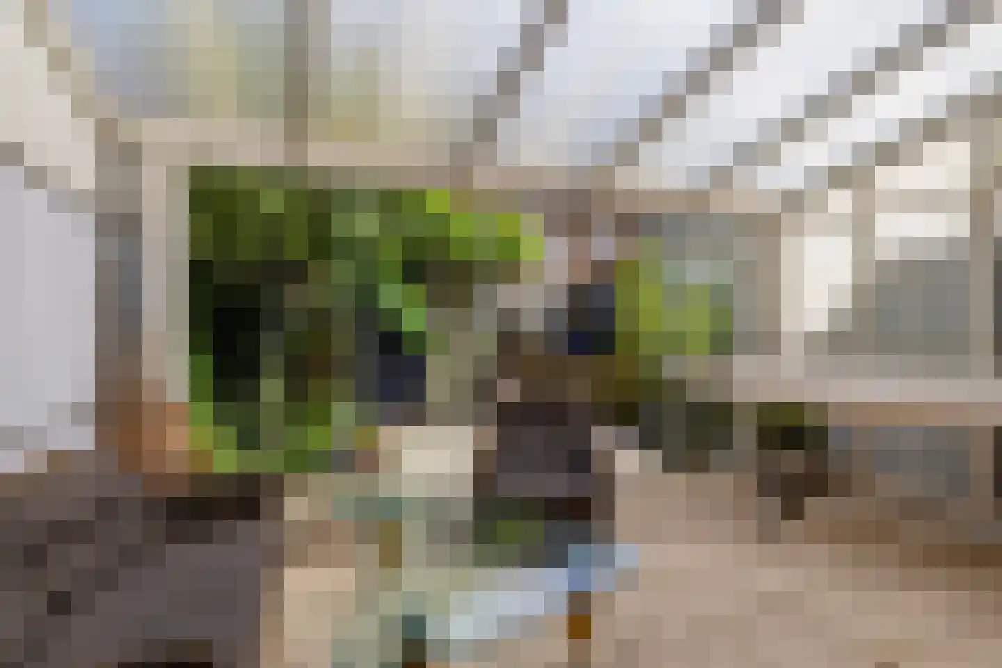 Lokhorst 32 Rotterdam thumbnail 5