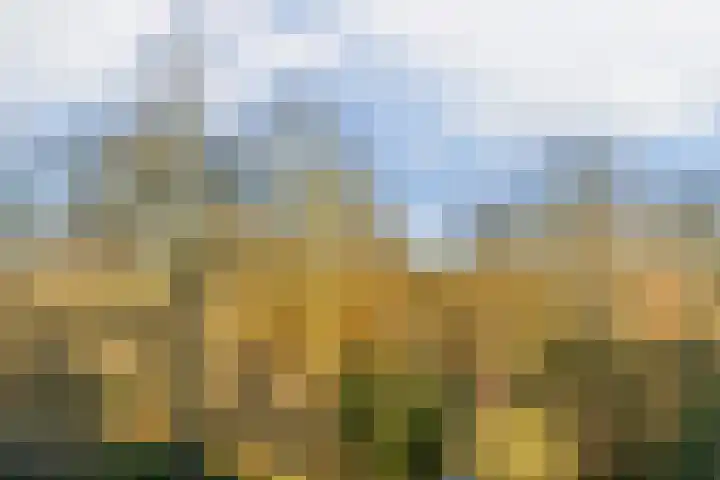 Lokhorst 35 Leiderdorp thumbnail 15