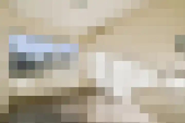 Lokhorst 35 Leiderdorp thumbnail 19