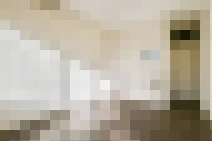 Lokhorst 35 Leiderdorp thumbnail 20