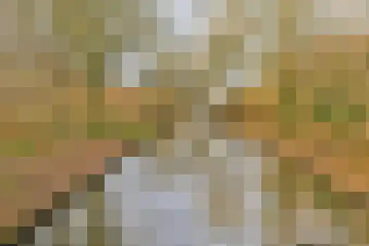 Lokhorst 35 Leiderdorp thumbnail 27
