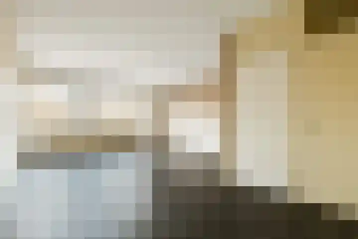 Lokhorst 35 Leiderdorp thumbnail 7