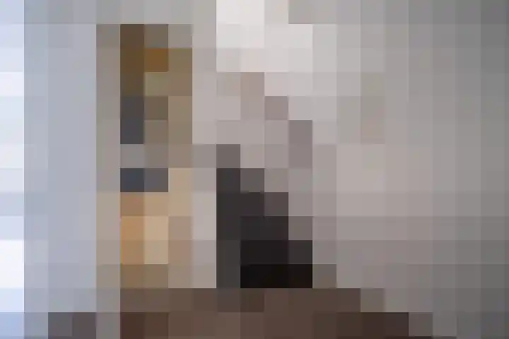 Lokhorst 43 Leiderdorp thumbnail 18