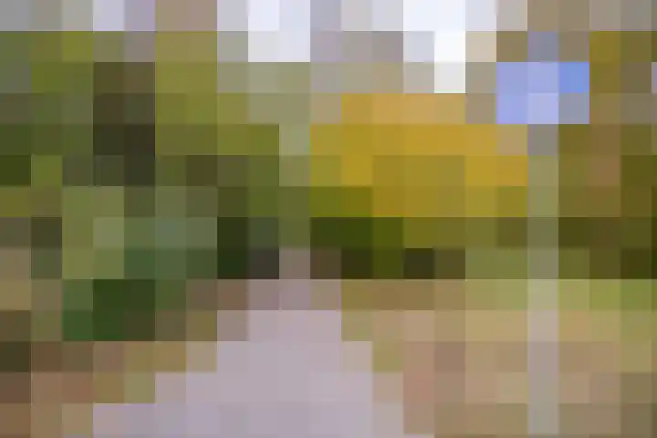 Lokhorst 43 Leiderdorp thumbnail 42