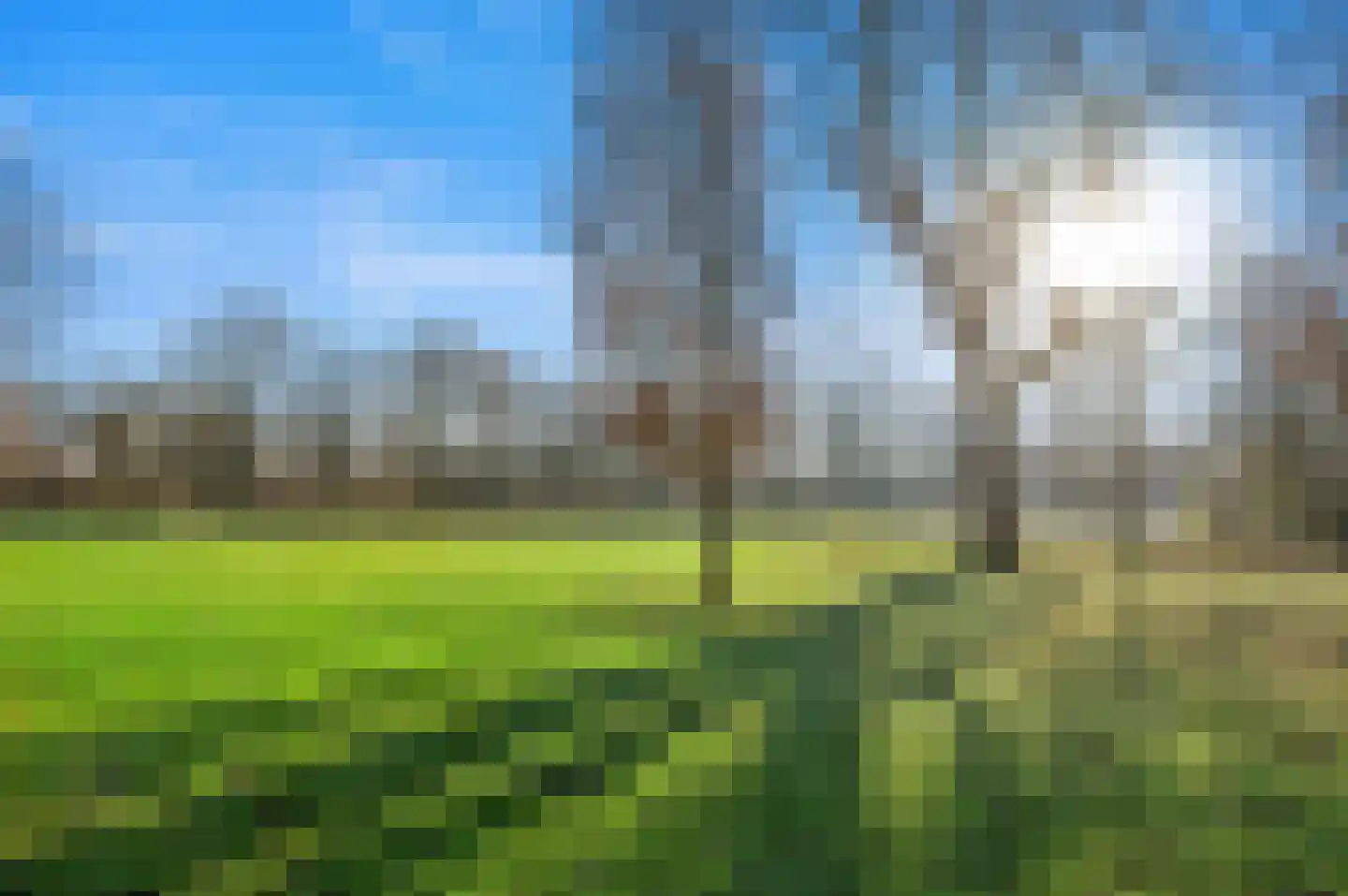 Lokhorst 6 Leiderdorp thumbnail 47