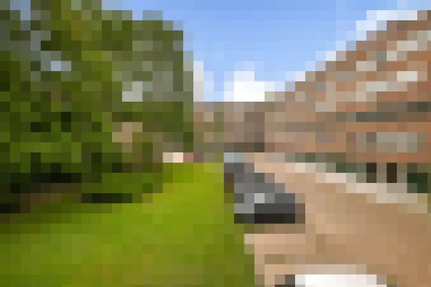 Lokhorst 7 Leiderdorp thumbnail 28