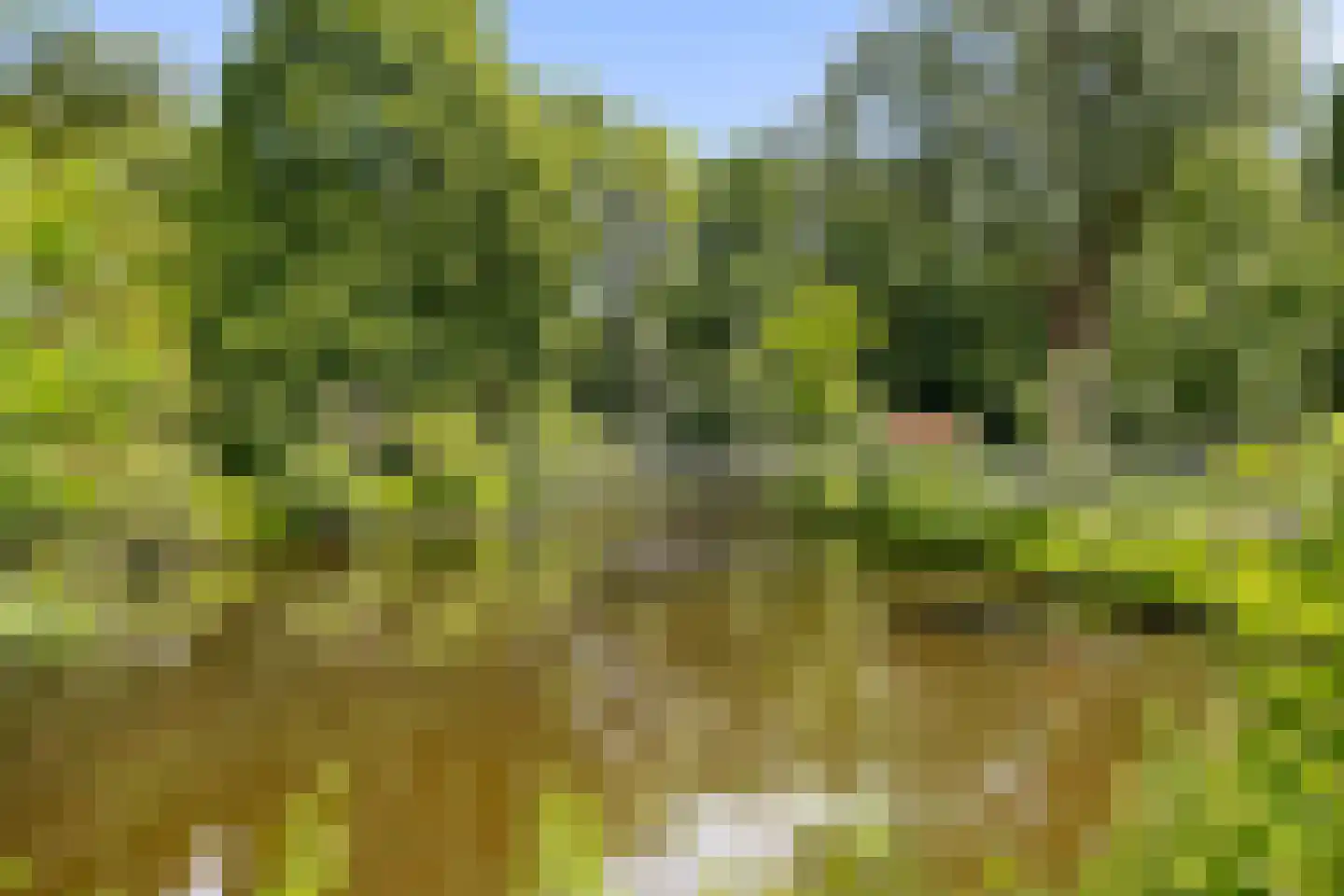 Lokhorst 7 Leiderdorp thumbnail 29