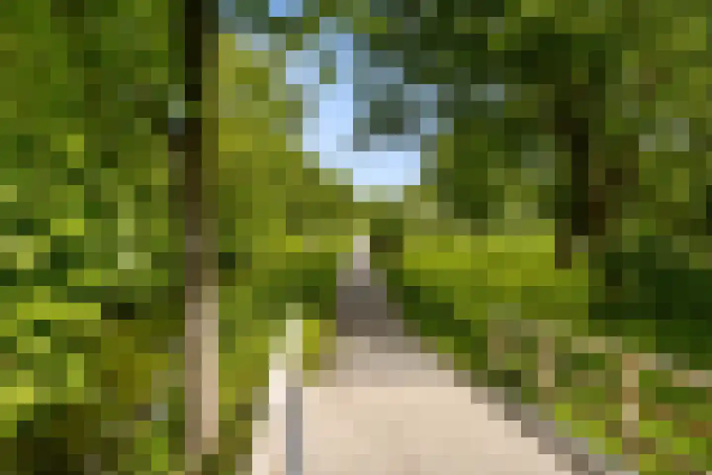Lokhorst 7 Leiderdorp thumbnail 30