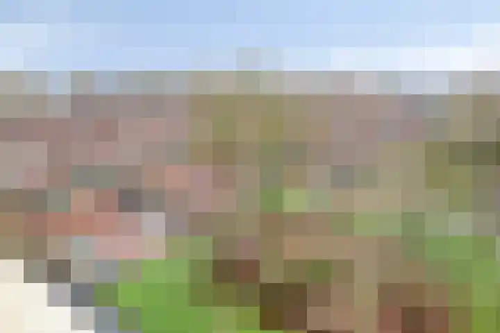 Lokhorst 75 Leiderdorp thumbnail 31