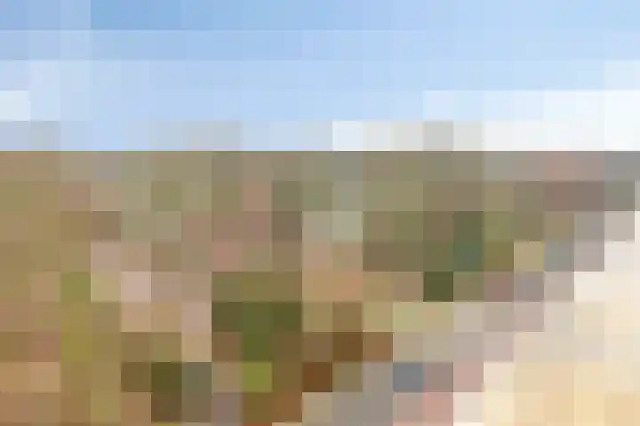 Lokhorst 75 Leiderdorp thumbnail 36