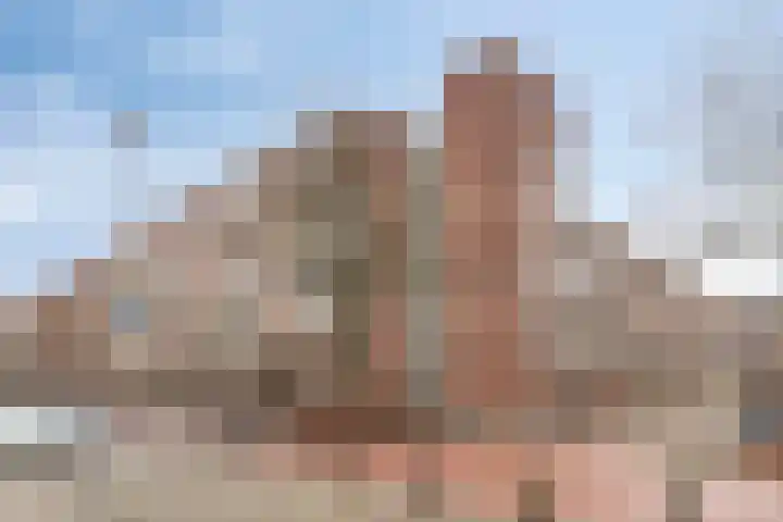 Lokhorst 75 Leiderdorp thumbnail 43