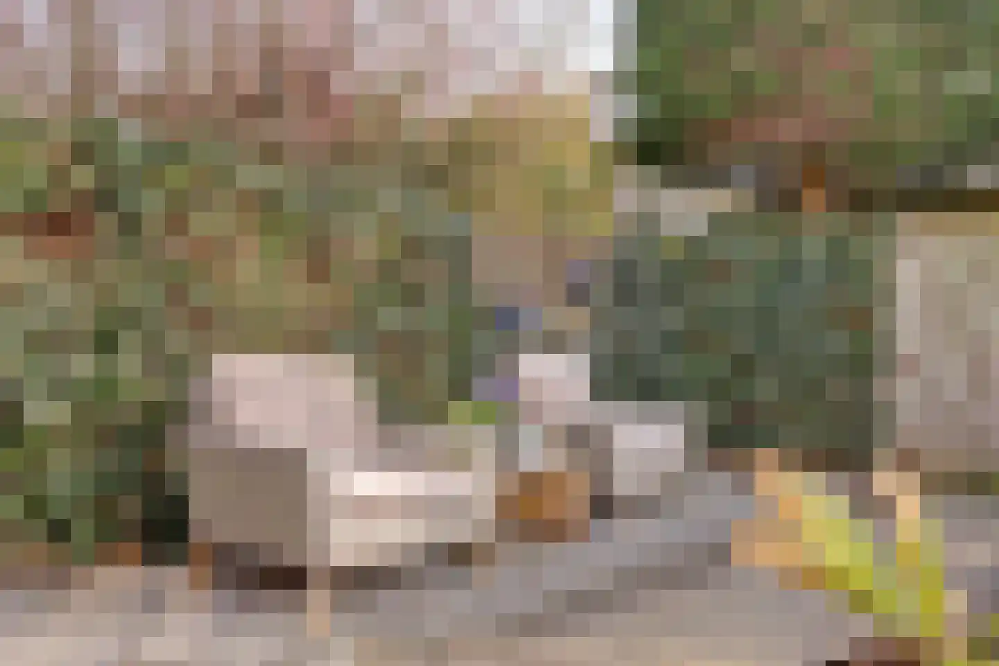 Lokhorstlaan 47 Bunnik thumbnail 20
