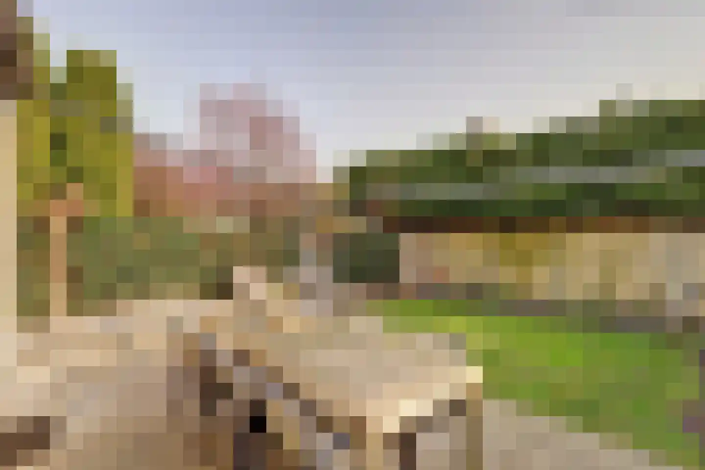 Lokhorstlaan 47 Bunnik thumbnail 22