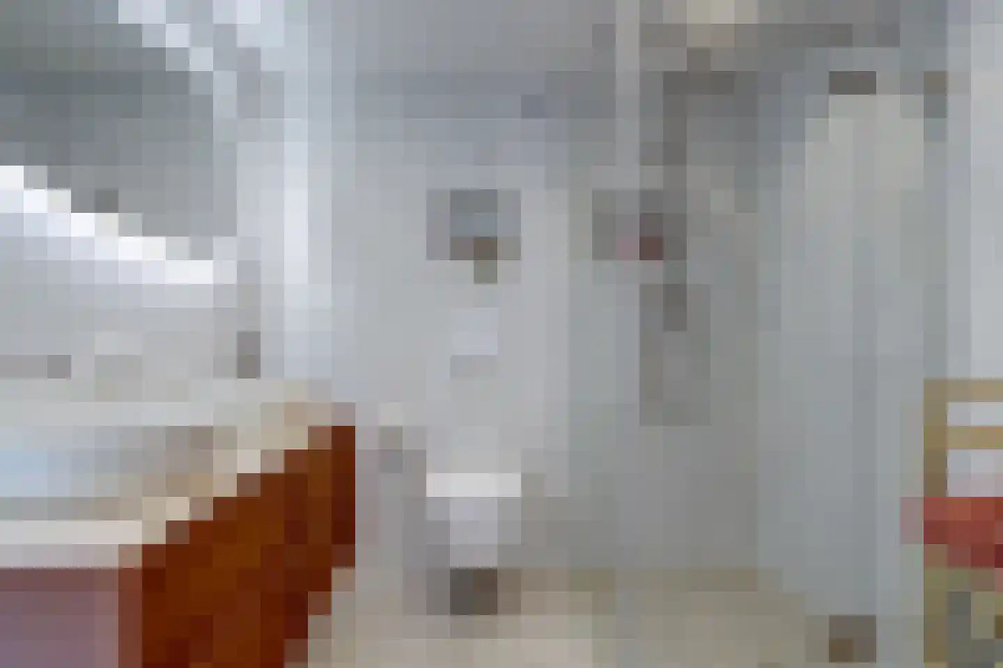 Lokhorstlaan 47 Bunnik thumbnail 30