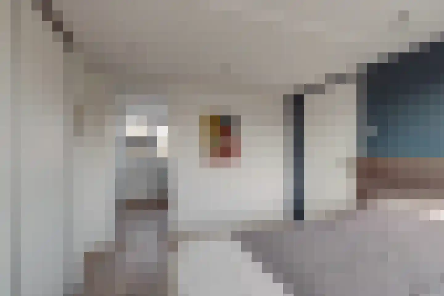 Lokhorstlaan 47 Bunnik thumbnail 39