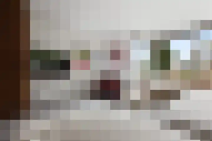 Lokhorstweg 12 Ermelo thumbnail 11