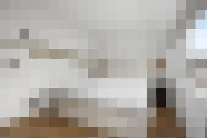 Lokhorstweg 12 Ermelo thumbnail 26
