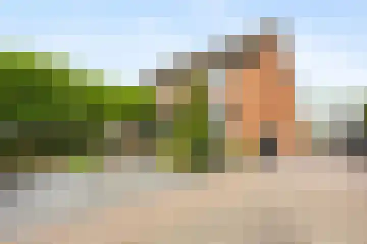 Lokhorstweg 12 Ermelo thumbnail 54