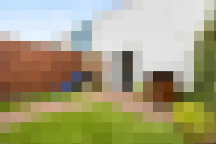 Lokhorstweg 12 Ermelo thumbnail 56