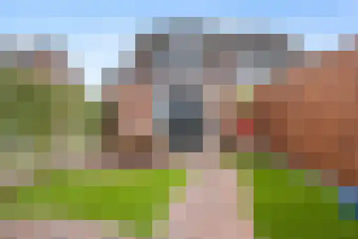 Lokhorstweg 12 Ermelo thumbnail 57