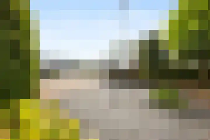 Lokhorstweg 12 Ermelo thumbnail 61