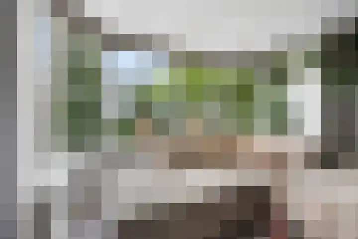 Lokhorstweg 12 Ermelo thumbnail 9