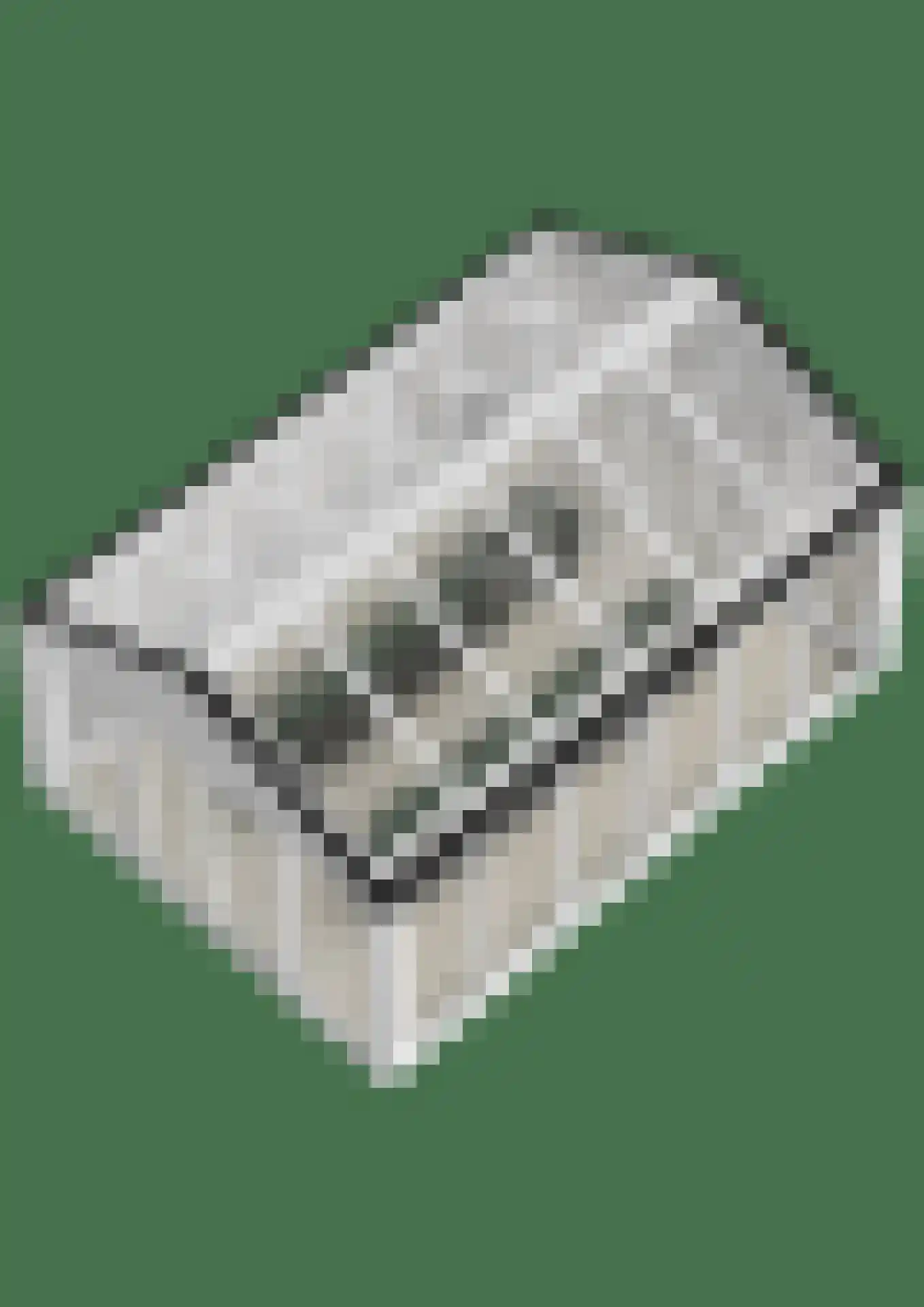 Lokkantseweg 11 a Haps thumbnail 104