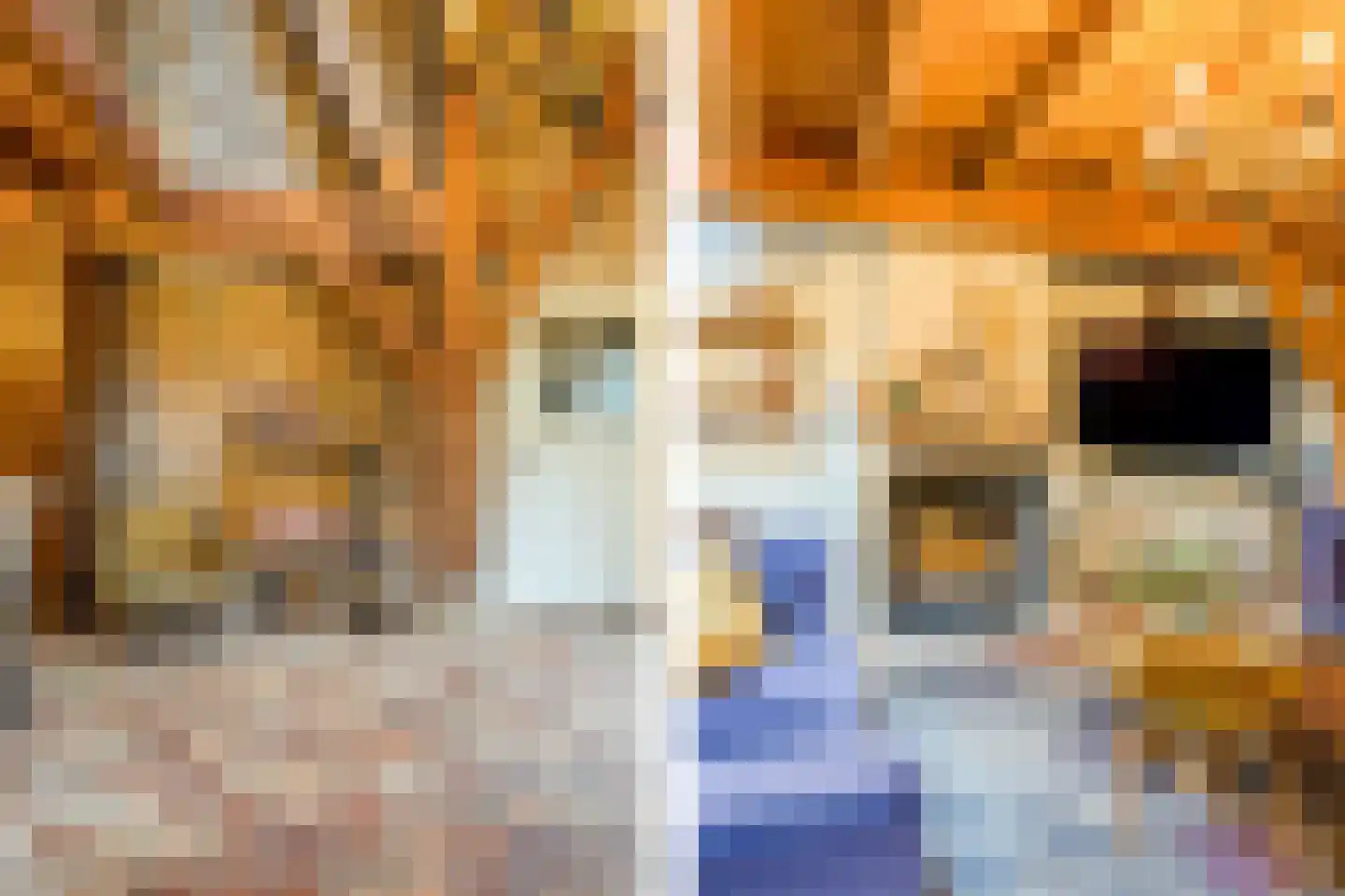 Lokkantseweg 11 a Haps thumbnail 17