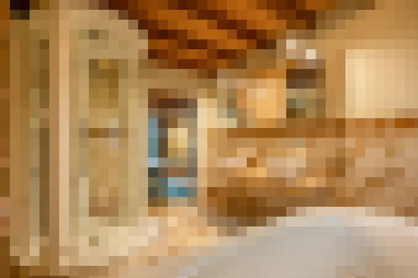 Lokkantseweg 11 a Haps thumbnail 26