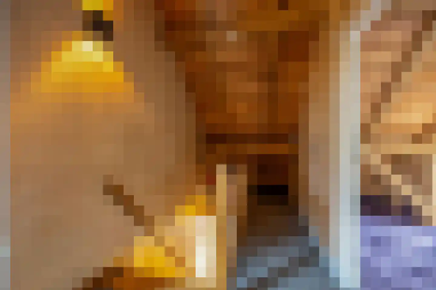 Lokkantseweg 11 a Haps thumbnail 27