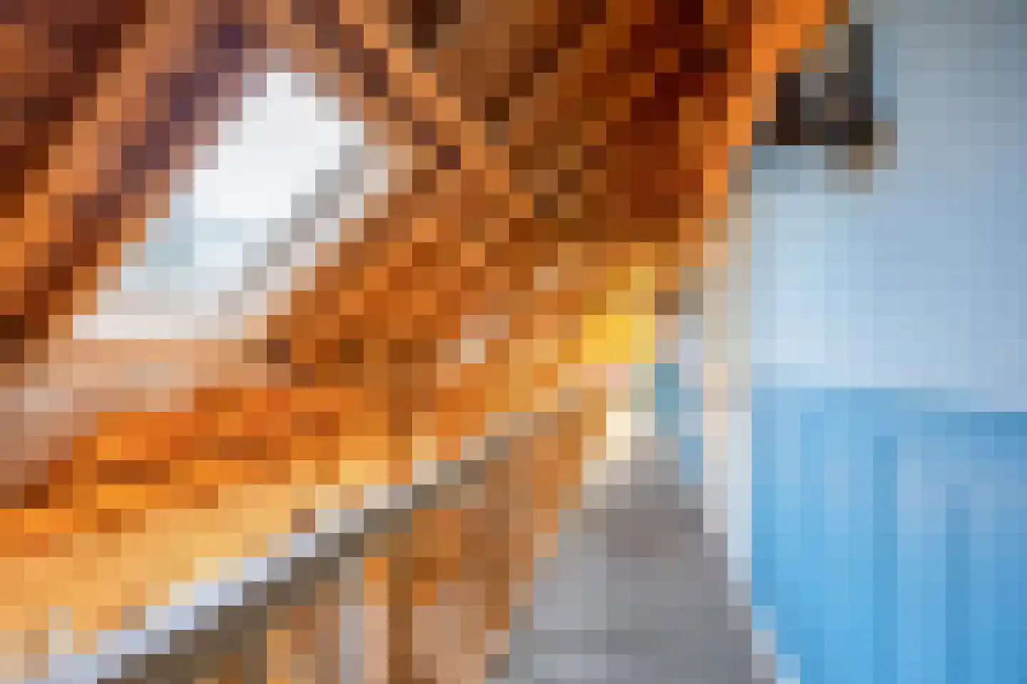 Lokkantseweg 11 a Haps thumbnail 31