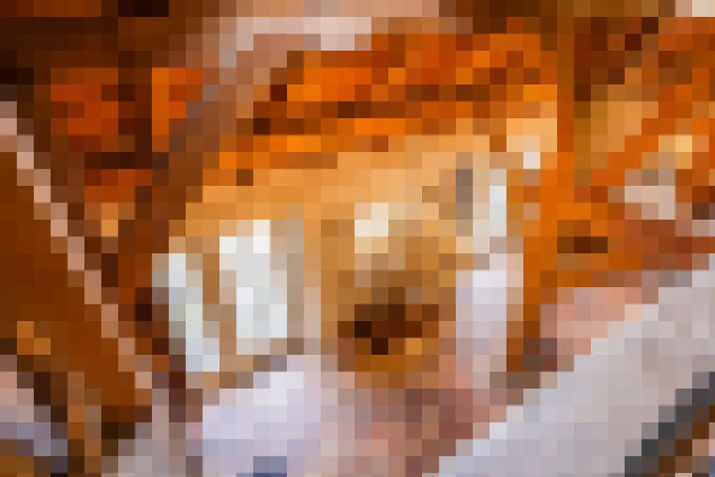 Lokkantseweg 11 a Haps thumbnail 32