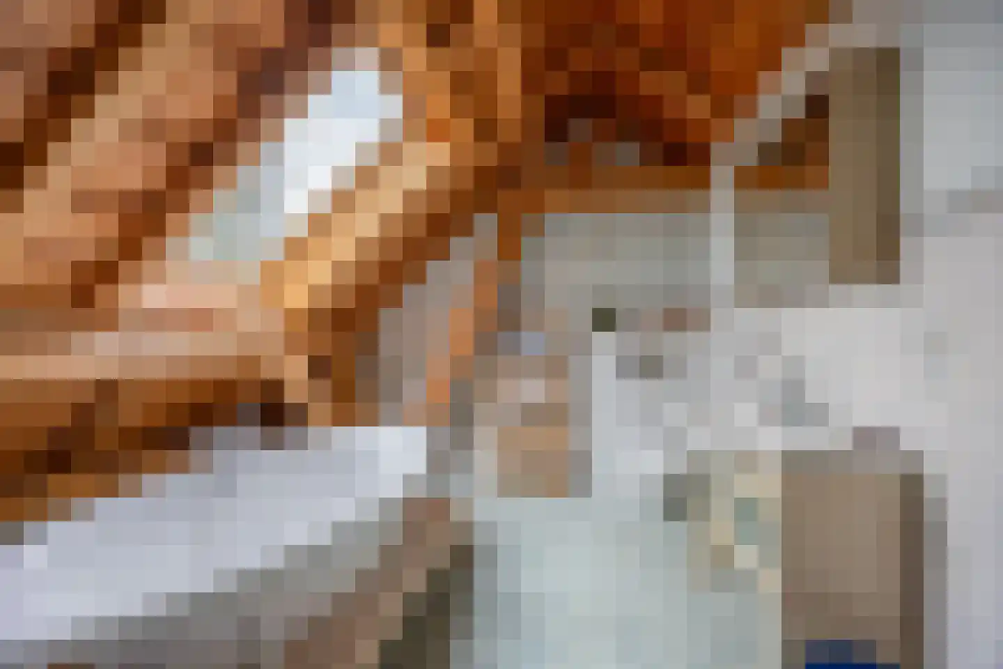 Lokkantseweg 11 a Haps thumbnail 33