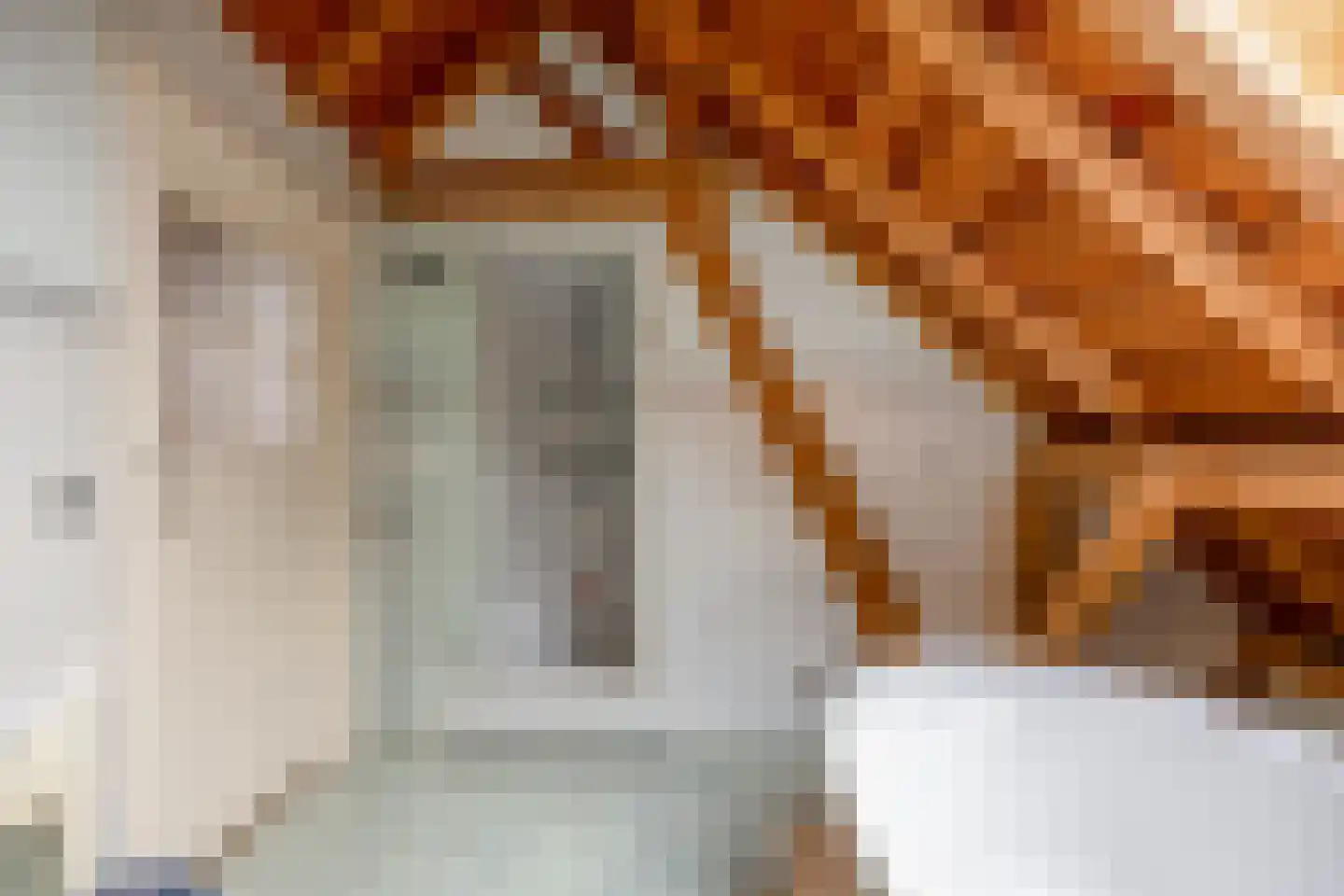 Lokkantseweg 11 a Haps thumbnail 34