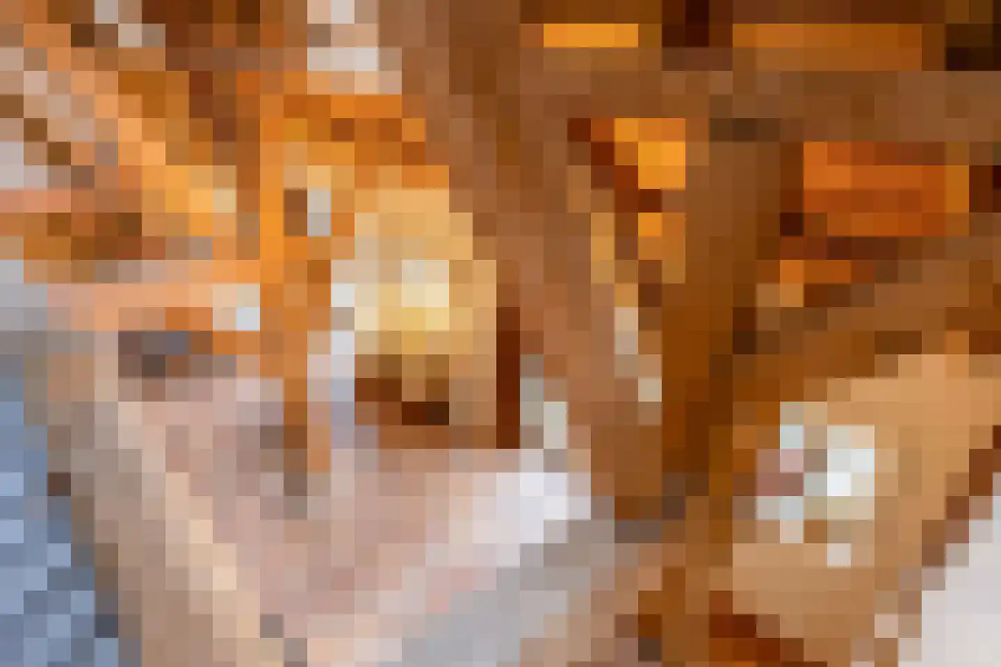 Lokkantseweg 11 a Haps thumbnail 38
