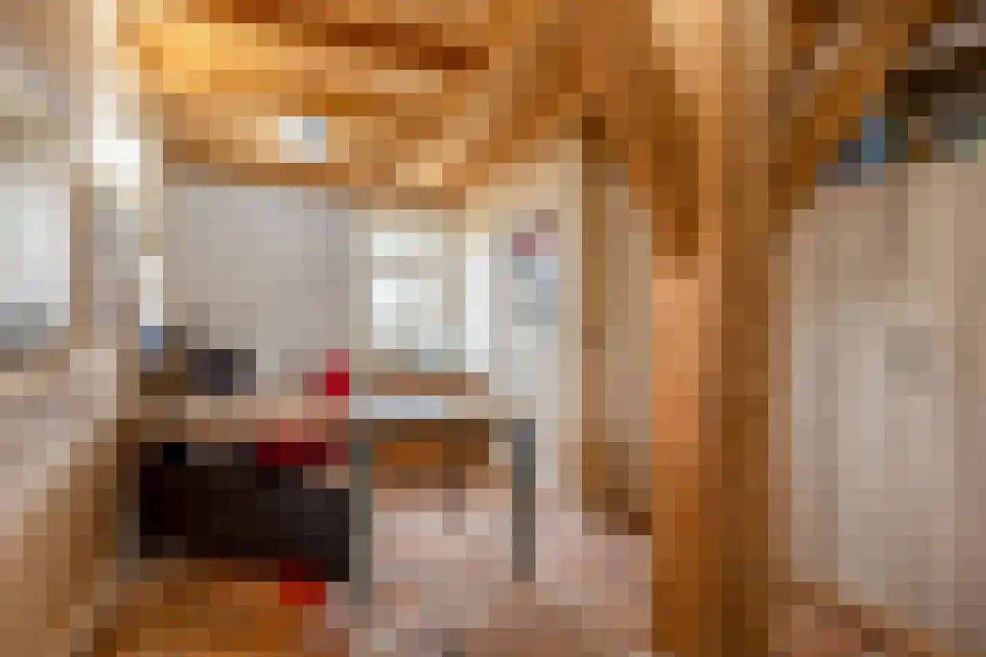 Lokkantseweg 11 a Haps thumbnail 39