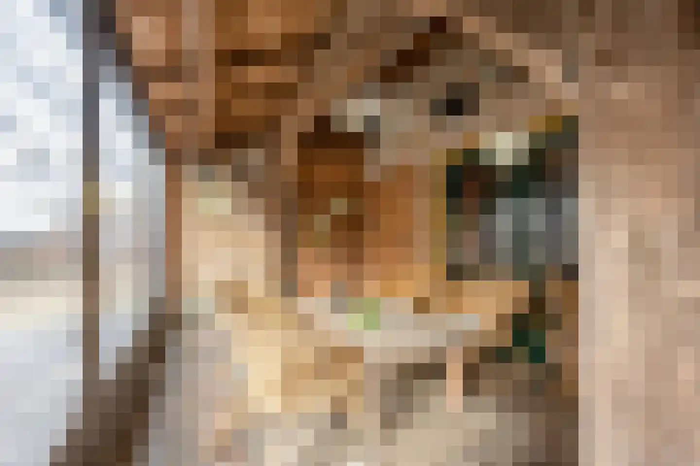 Lokkantseweg 11 a Haps thumbnail 42