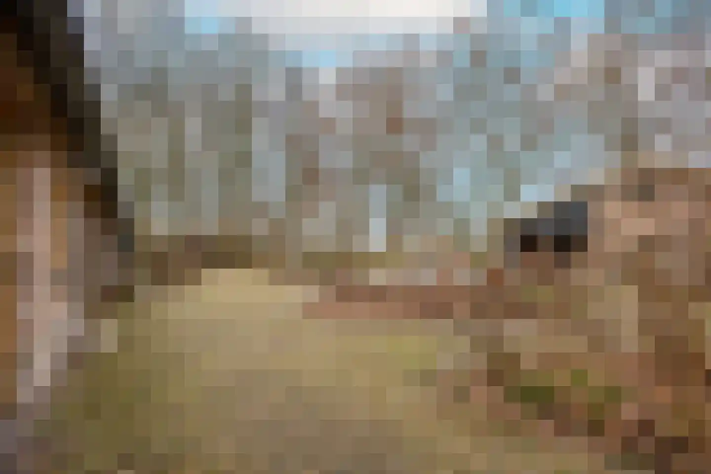 Lokkantseweg 11 a Haps thumbnail 57