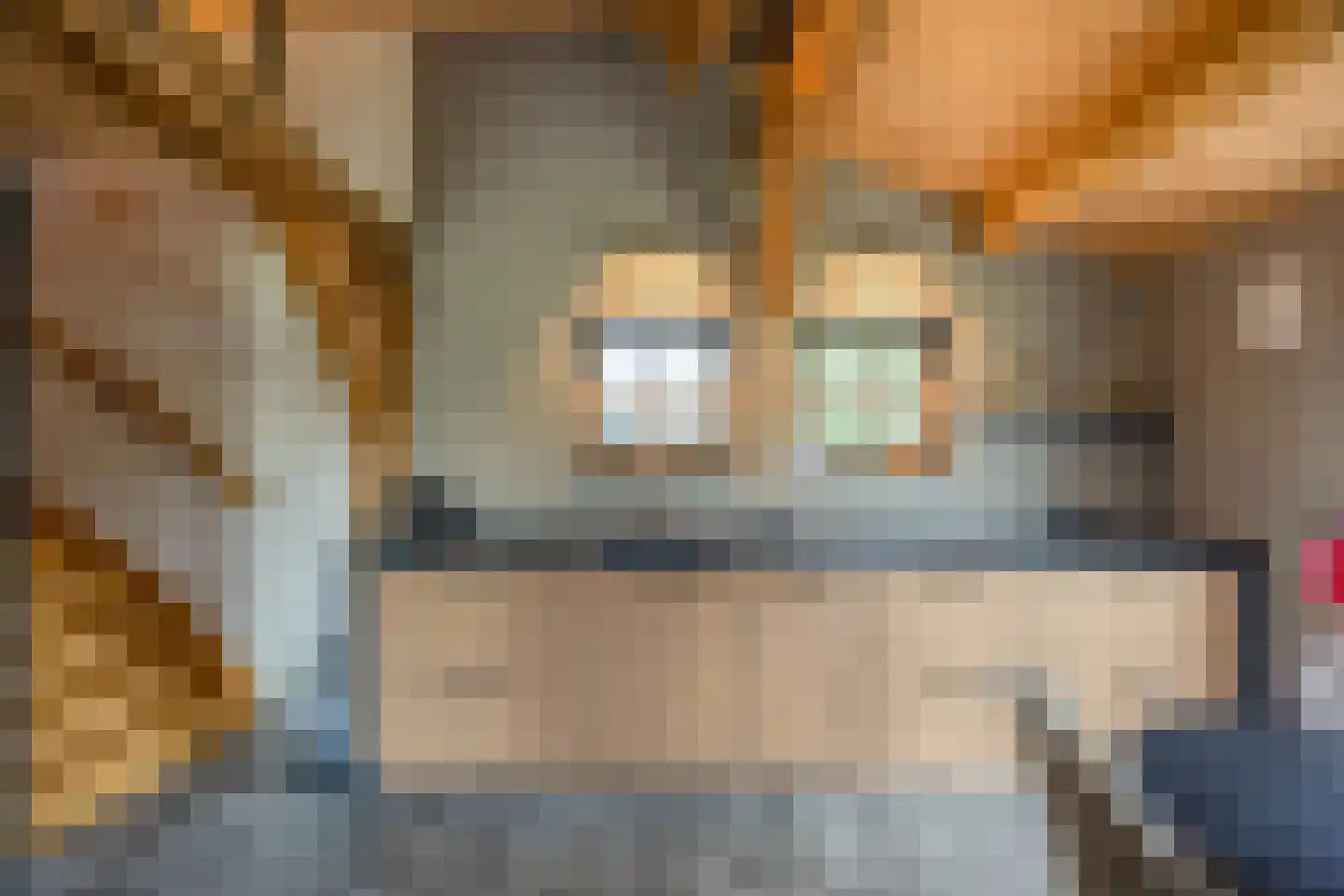 Lokkantseweg 11 a Haps thumbnail 68