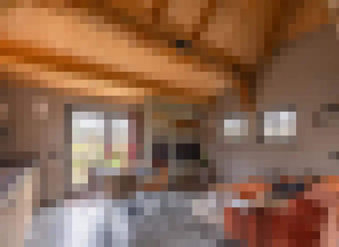 Lokkantseweg 11 a Haps thumbnail 69